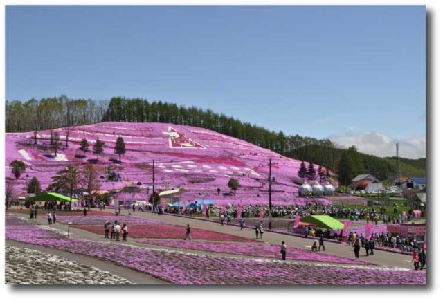 大空町　東藻琴芝桜公園