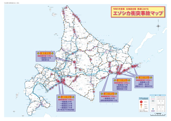 エゾシカ衝突マップ裏面（地図面）