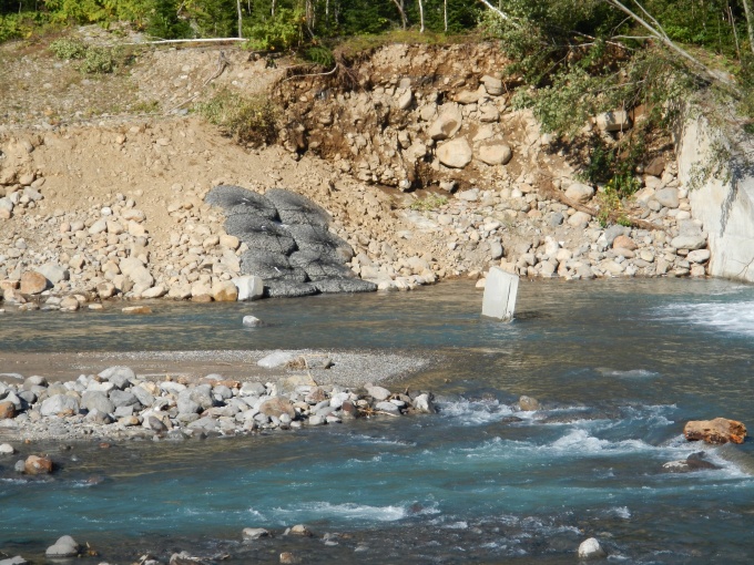 美瑛川第1号床固工護岸復旧状況