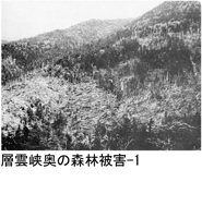 05-01jpg