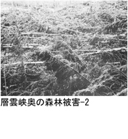 05-02jpg