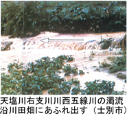 19-11jpg