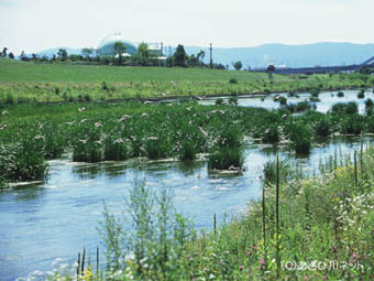 永山新川・辰永橋