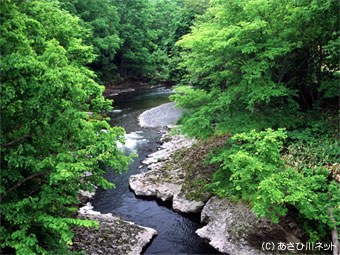 名寄川・幸成橋上流