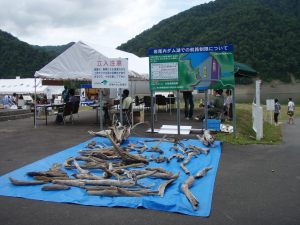 無料配布流木のイメージ