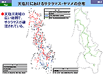 天塩川におけるサクラマス・ヤマメの分布図