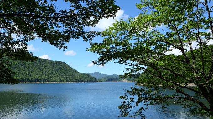 2：　岩尾内湖・夏(6月)