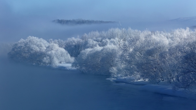 1：　河畔林も凍てつく冬の朝(2月)