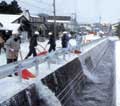 中央川に投雪するせたな町民