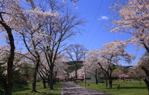 長万部公園