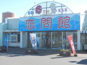 しらぬか恋問