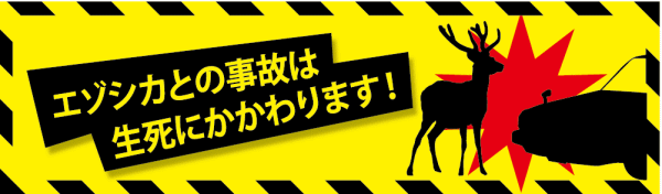 エゾシカとの事故は生死にかかわります！