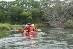 河畔林と後背湿地から成る湿原らしい景観を眺めることができます。