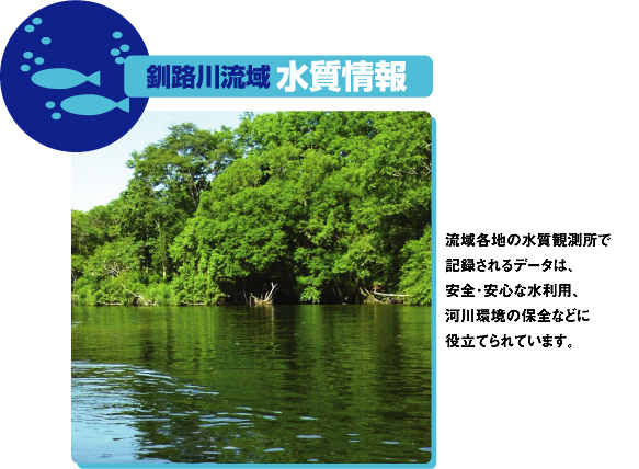 釧路川流域水質情報