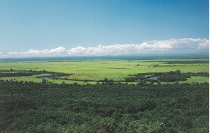 細岡展望台からの湿原景観（平成6年8月 撮影） 