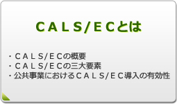 CALS/ECとは