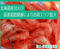 北海道産甘えび　高速道路開通により出荷エリア拡大