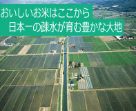 おいしいお米はここから　日本一の疎水が育む豊かな大地