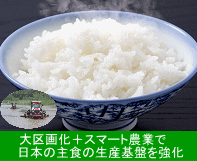 大区画化＋スマート農業で日本の主食の生産基盤を強化