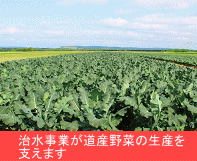 治水事業が道産野菜の生産を支えます