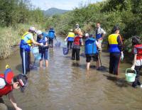 河川環境学習【子どもたちによる水生調査】 