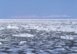 流氷がやってくる海
