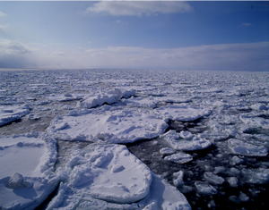 流氷によって豊かな海