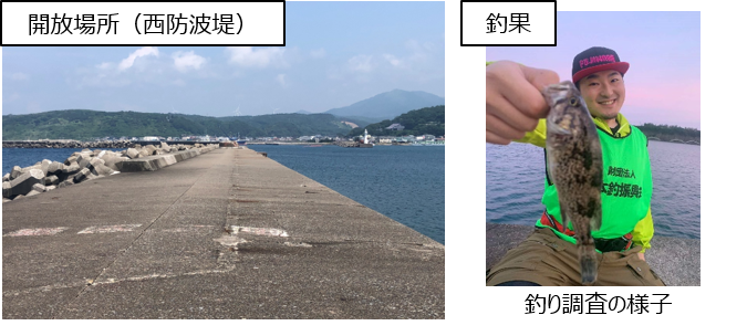 釣り調査の様子