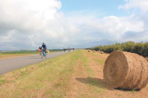 農村風景とサイクリングルート