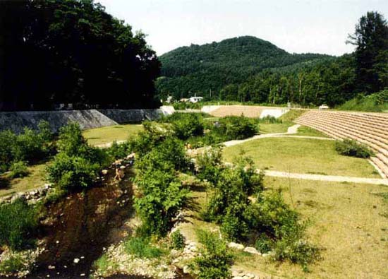 オカバルシ川遊砂地写真1