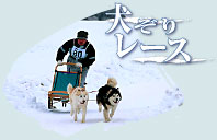 犬ぞりレース