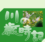 川の歳時記 春
