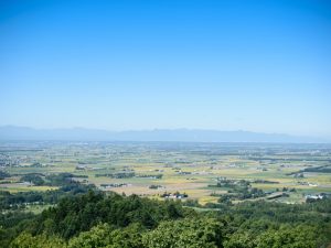 長沼町（水田地帯）