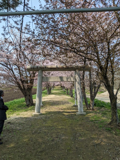 鳥居