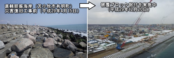 直轄胆振海岸 苫小牧市有明地区復旧状況写真