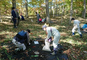 沙流川ダム　イオルの森での植樹