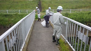 たんぽぽ公園