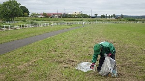 たんぽぽ公園2