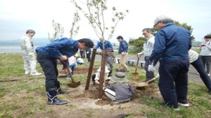 入江植樹