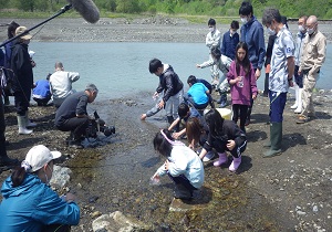 地元小学生によるサケ稚魚放流に参加