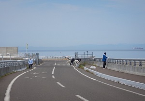 室蘭漁協、室蘭市、胆振総合振興局等とともに、追直漁港の清掃活動を実施