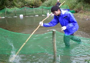 平取町職員らとともにアイヌ民族の伝統的な漁法を体験