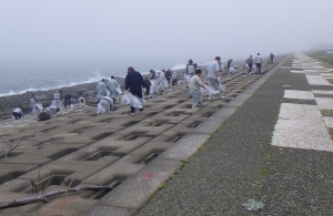 苫小牧海岸清掃