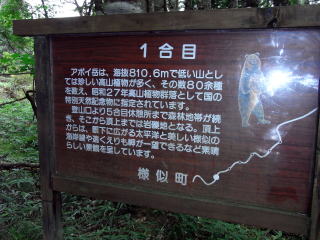 アポイ岳体験09