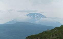 羊蹄山（6月撮影）