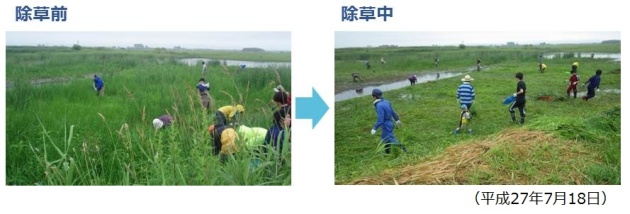 除草前、除草中風景