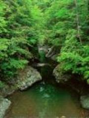 日高町　緑の回廊・千呂露峡