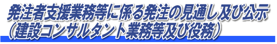 発注者支援業務等に係る発注の見通し及び公示_タイトル