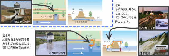 内水氾濫対策（内水排除）の例