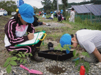 植栽の様子